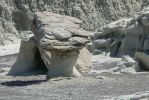 PICTURES/Bisti Badlands in De-Na-Zin Wilderness/t_Toadstool.JPG